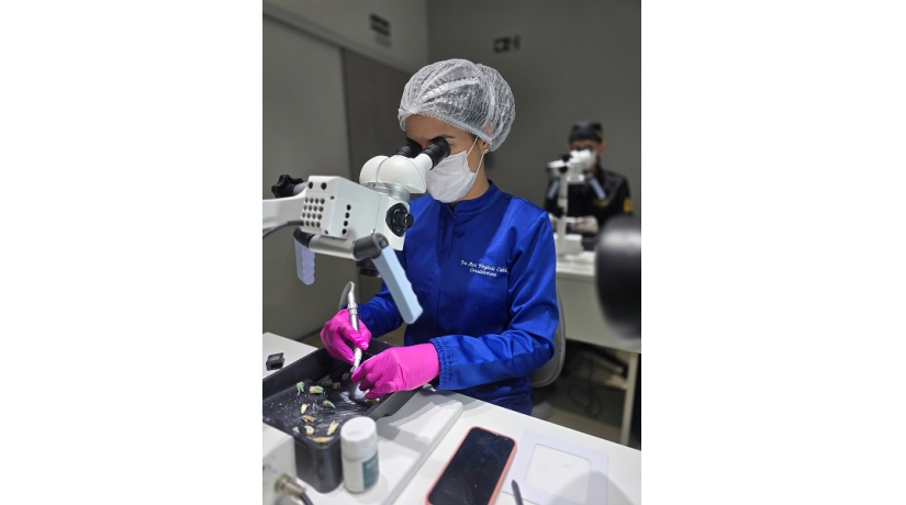 Capacitação em Endodontia: Do Acesso ao Selamento: Excelência e Previsibilidade