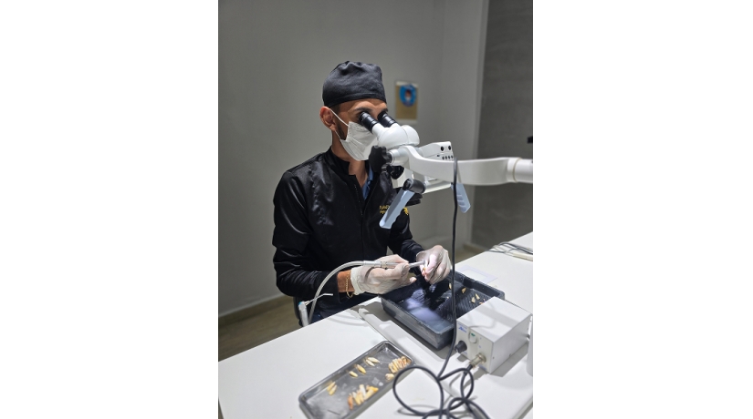 Imersão em Endodontia do Acesso à obturação