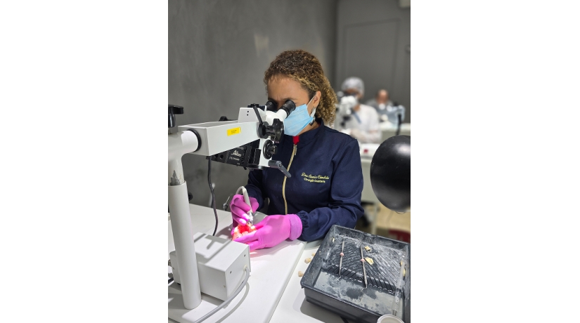 Imersão em Endodontia do Acesso à obturação